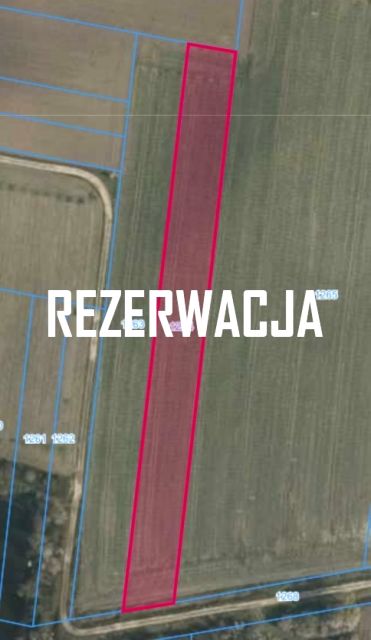 Działka rolna Bluszczów sprzedam