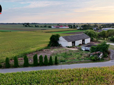 Lokal Chełmiczki