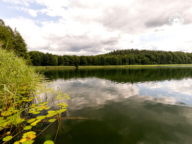 Działka budowlana Pasterzewo