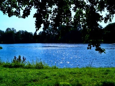 Działka Łódź