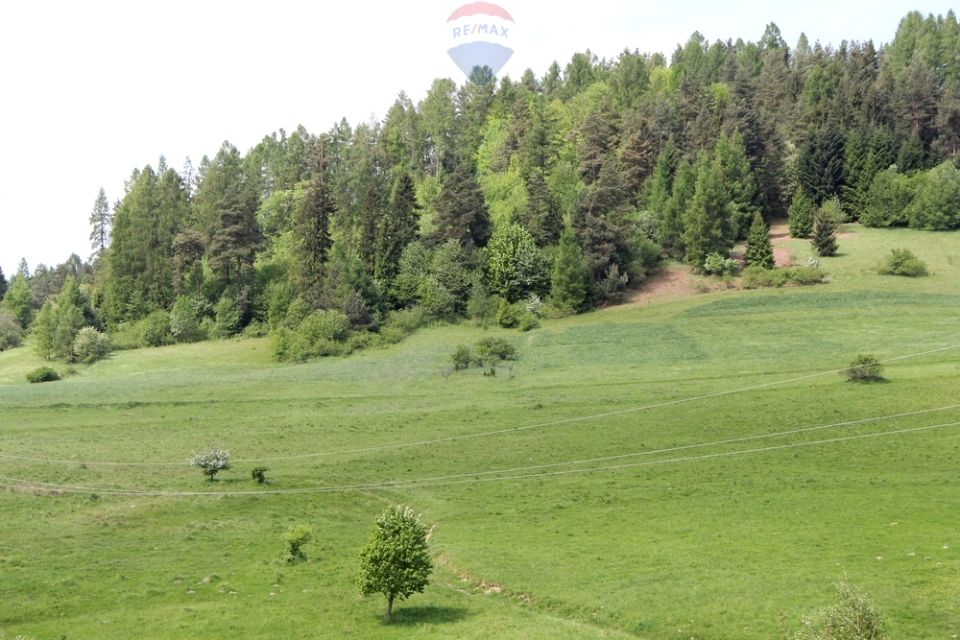 Działka leśna Krośnica