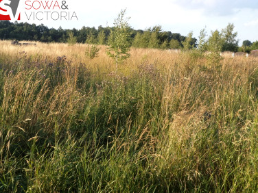 Działka budowlana Stare Bogaczowice