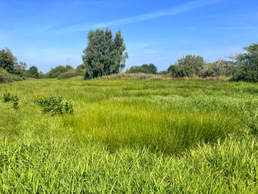 Działka rolna Puck