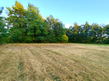 Działka budowlana Kazimierz Dolny