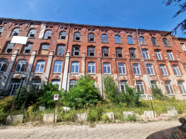 Lokal Łódź