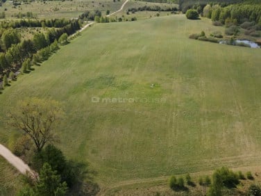 Działka nad jeziorem