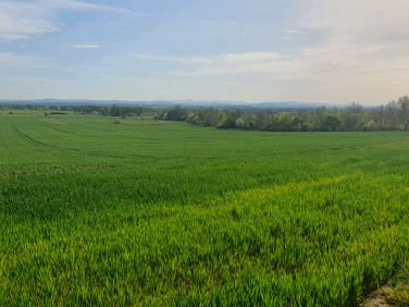 Działka budowlana Głuchowice