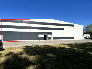 Lokal Gorzów Wielkopolski