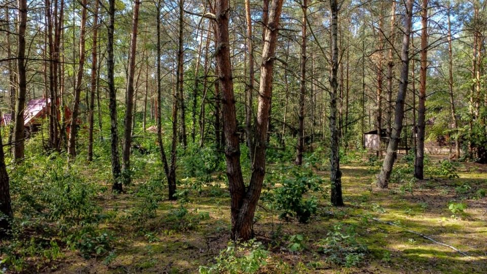 Działka rekreacyjna Wólka-Wojciechówek