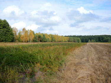 Działka Klarów