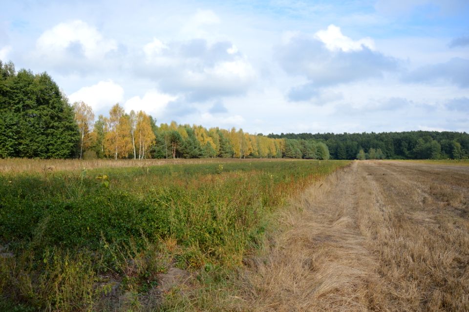 Działka Klarów