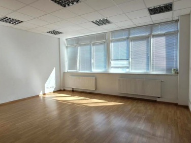 Lokal Szczecin wynajem