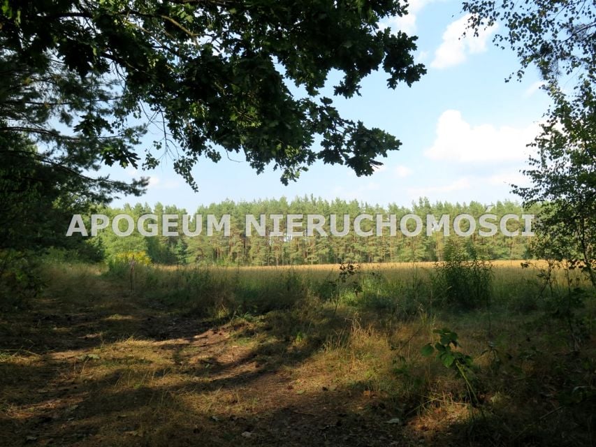 Działka Ciasne
