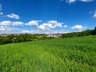 Działka Bochnia