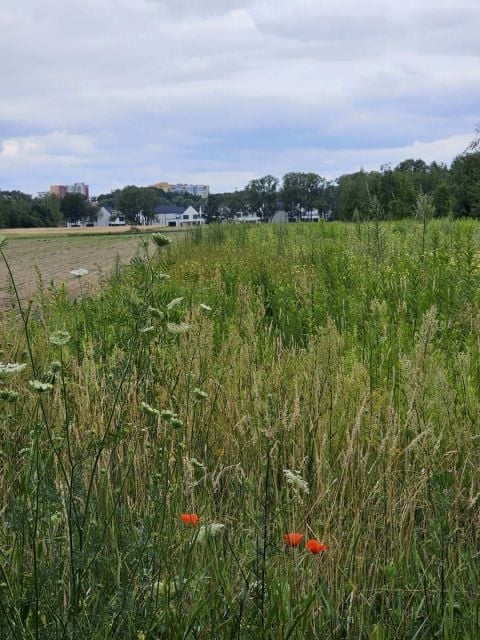 Działka usługowa Warszawa sprzedam