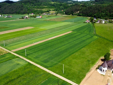 Działka Roztoka-Brzeziny