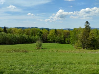 Działka budowlana Lachowice