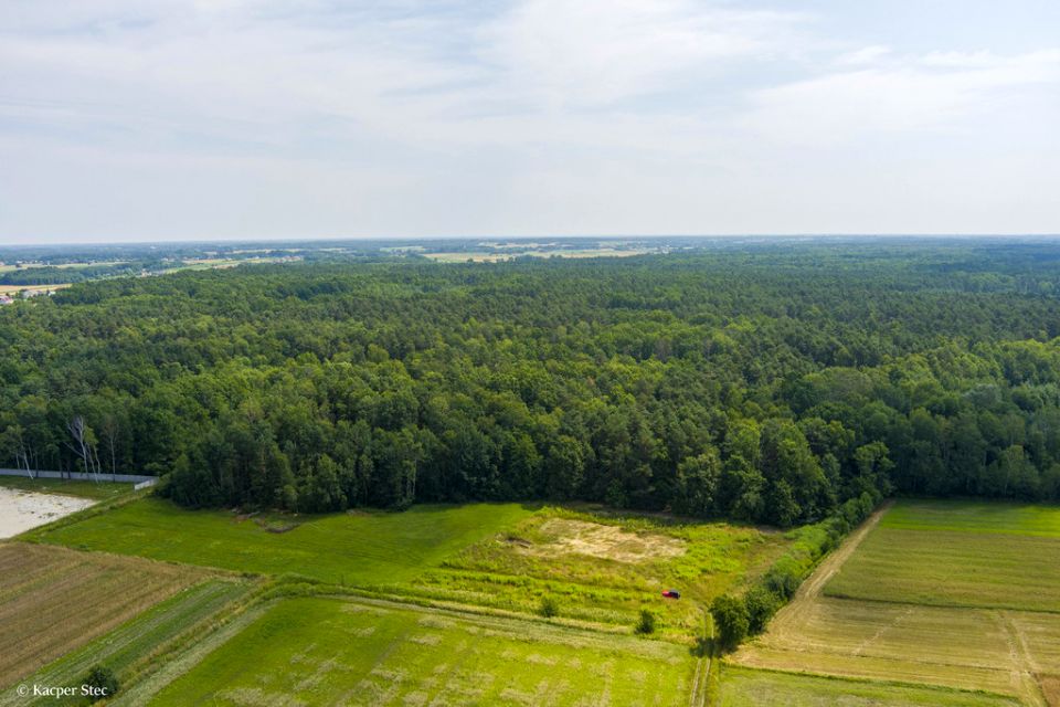 Działka rolna Borki