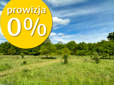 Mieszkanie Wrocław sprzedaż