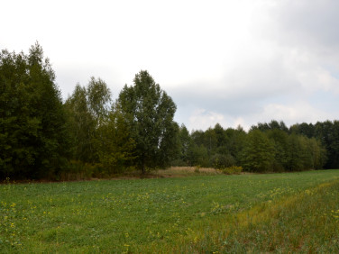 Działka rolna Brzeźnica Leśna