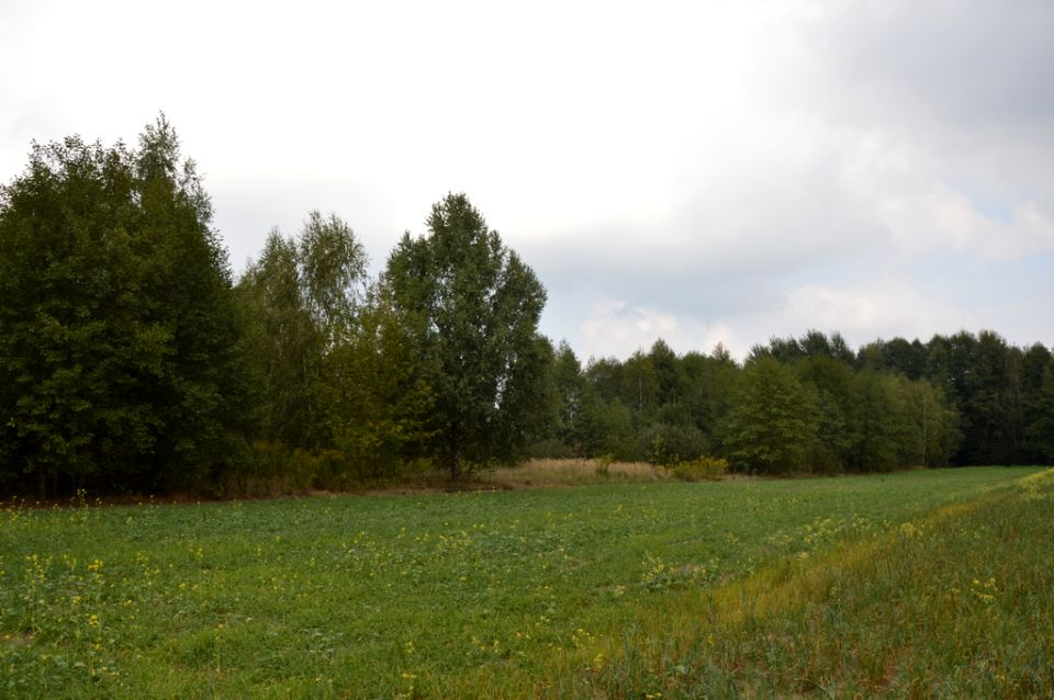 Działka rolna Brzeźnica Leśna