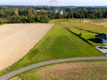 Działka budowlana Dankowice