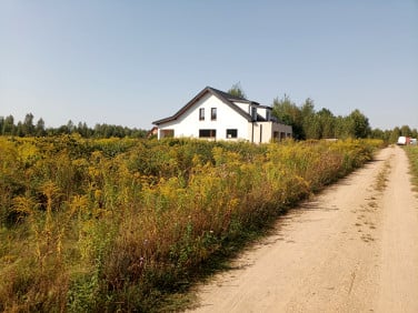 Działka przy lesie