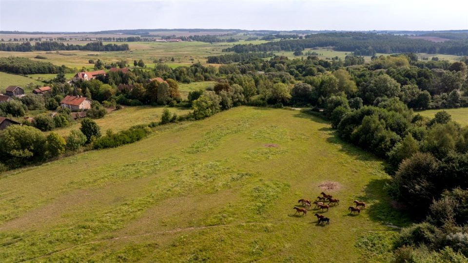 Działka Raciszewo