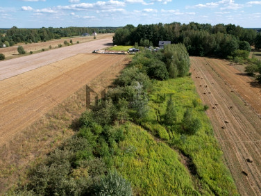 Działka Wojciechowice