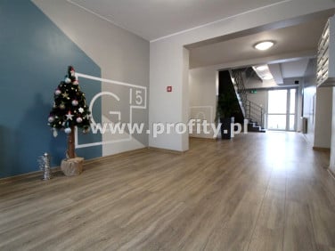 Lokal Katowice wynajem