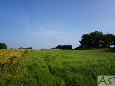 Działka budowlana Zelków