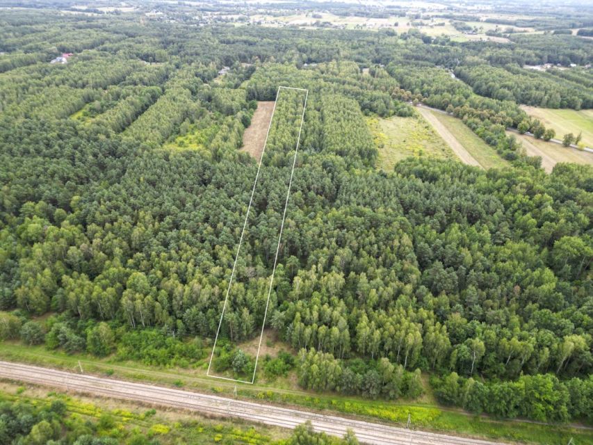 Działka leśna Starowola