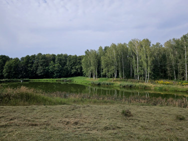 Działka skoszewy stare