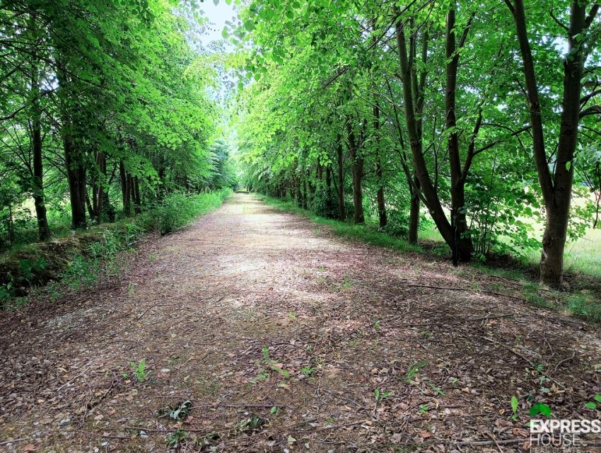 Działka budowlano-rolna Celinów