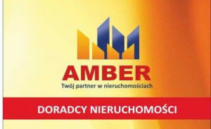 Amber 21 lat na rynku Nieruchomości