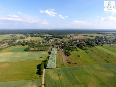 Działka siedliskowa Liwa