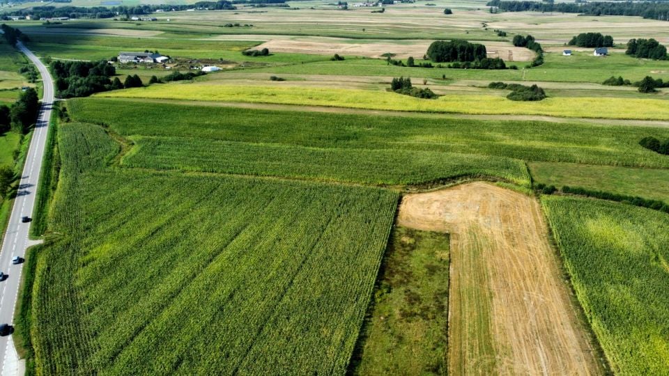 Działka rolna Bakałarzewo