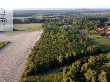 Działka siedliskowa Ulinia