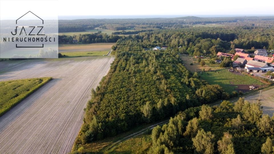 Działka siedliskowa Ulinia