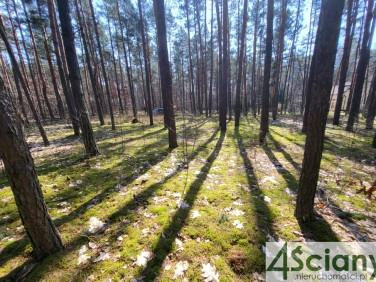 Działka budowlana ogrodzona Siestrzeń