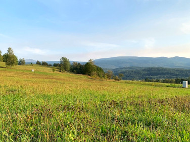 Działka Jelenia Góra