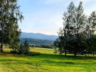 Działka budowlana Jelenia Góra sprzedam