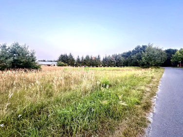 Działka przy lesie