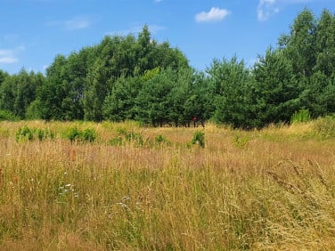 Pusta działka Osiek