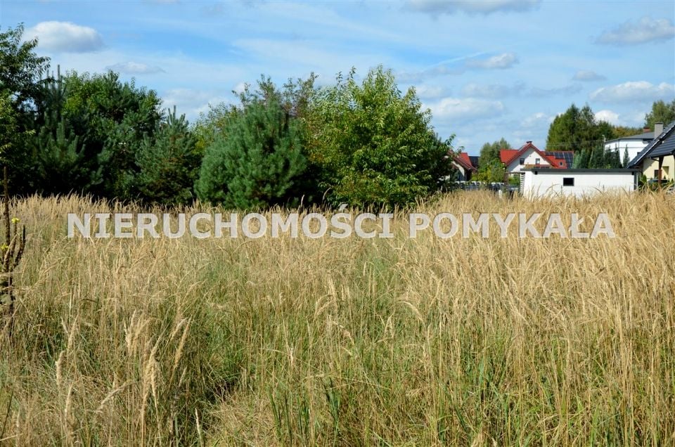 Zdjęcie 3