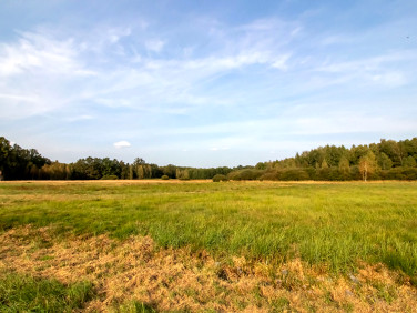 Działka budowlana Brynica sprzedam