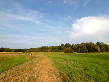 Działka budowlana Brynica