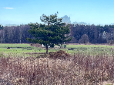 Działka budowlana Boryszew