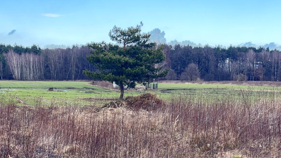 Działka budowlana Boryszew