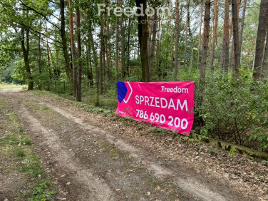 Działka Dąbrowa Kozłowska
